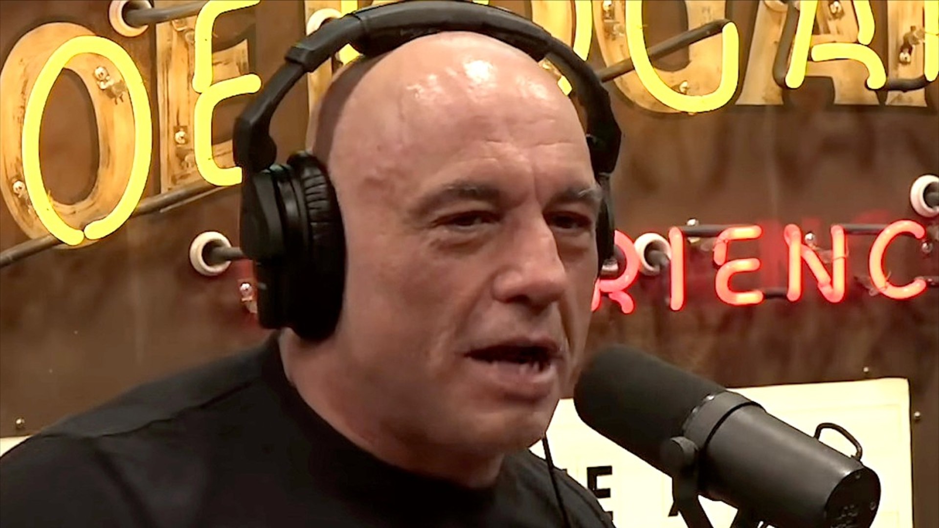 Joe Rogan Is Stupid